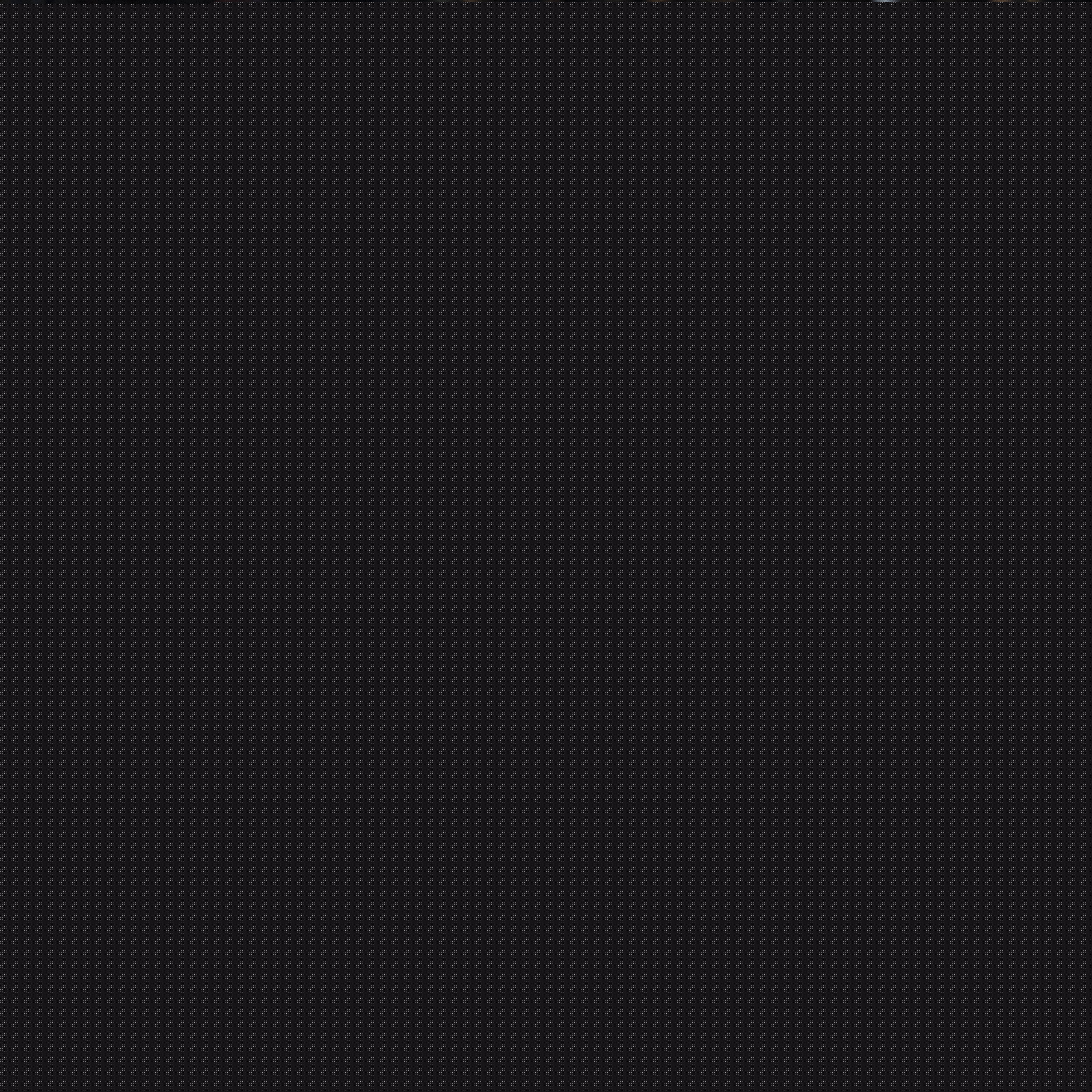 迷的热情
