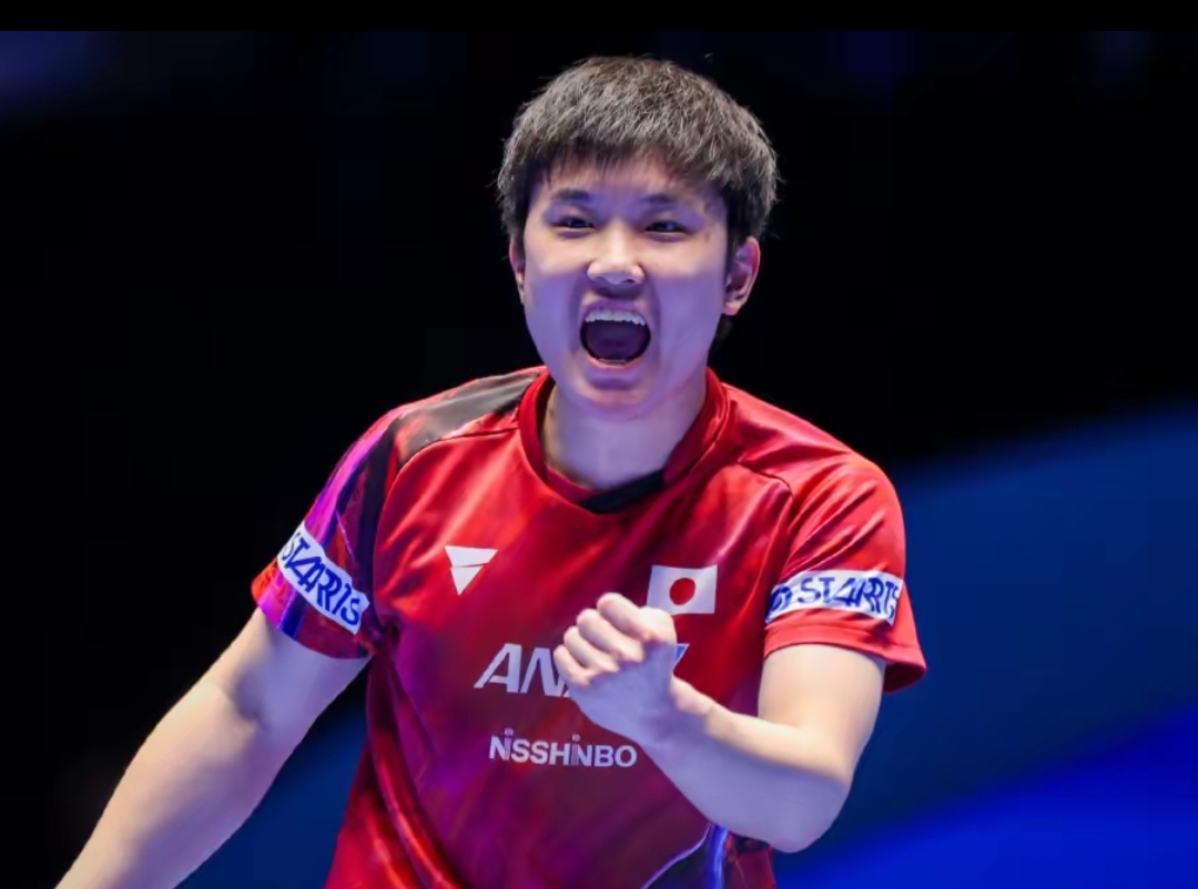 网友们之所 网友们之所